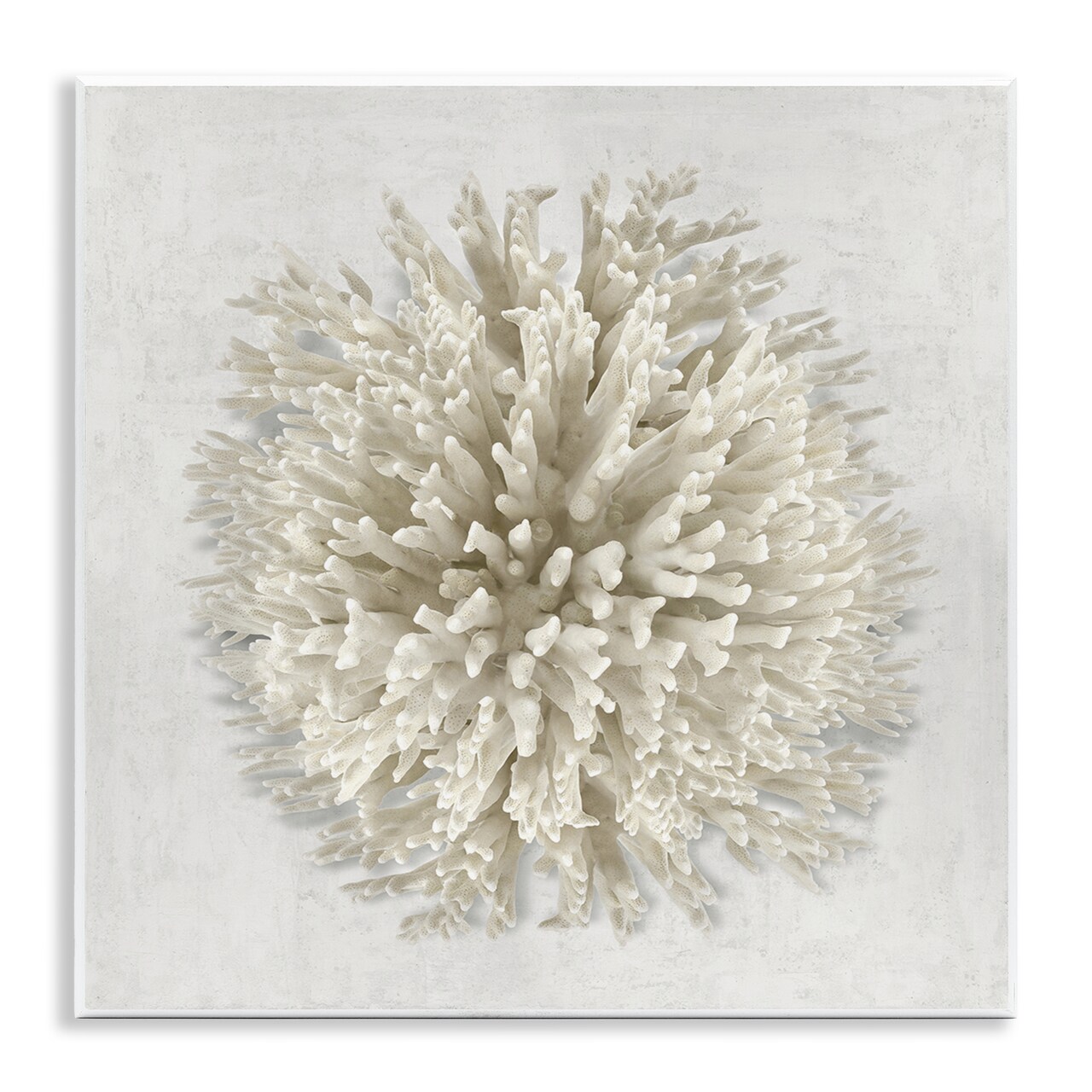 Stupell Industries Natural Round Coral Wall Plaque Design by Caroline Kelly